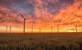 When Vehicles Became Part of the Energy Ecosystem